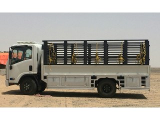 معي دينة طالع من تبوك العرعر