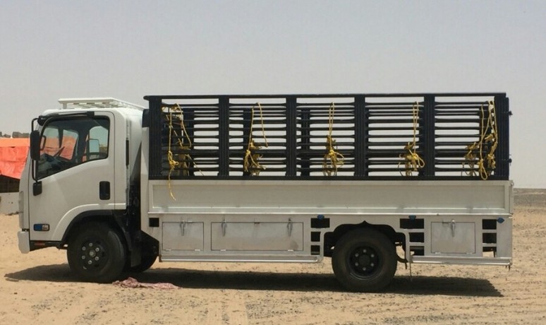 maay-dyn-talaa-mn-aaraar-alhfr-albatn-big-0